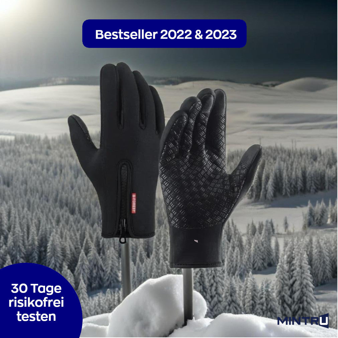 FrostFighter Thermo-Handschuhe – mintru